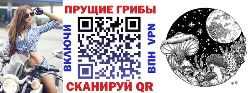 Псилоцибиновые грибы прущие грибы  Купить  Таштагол 